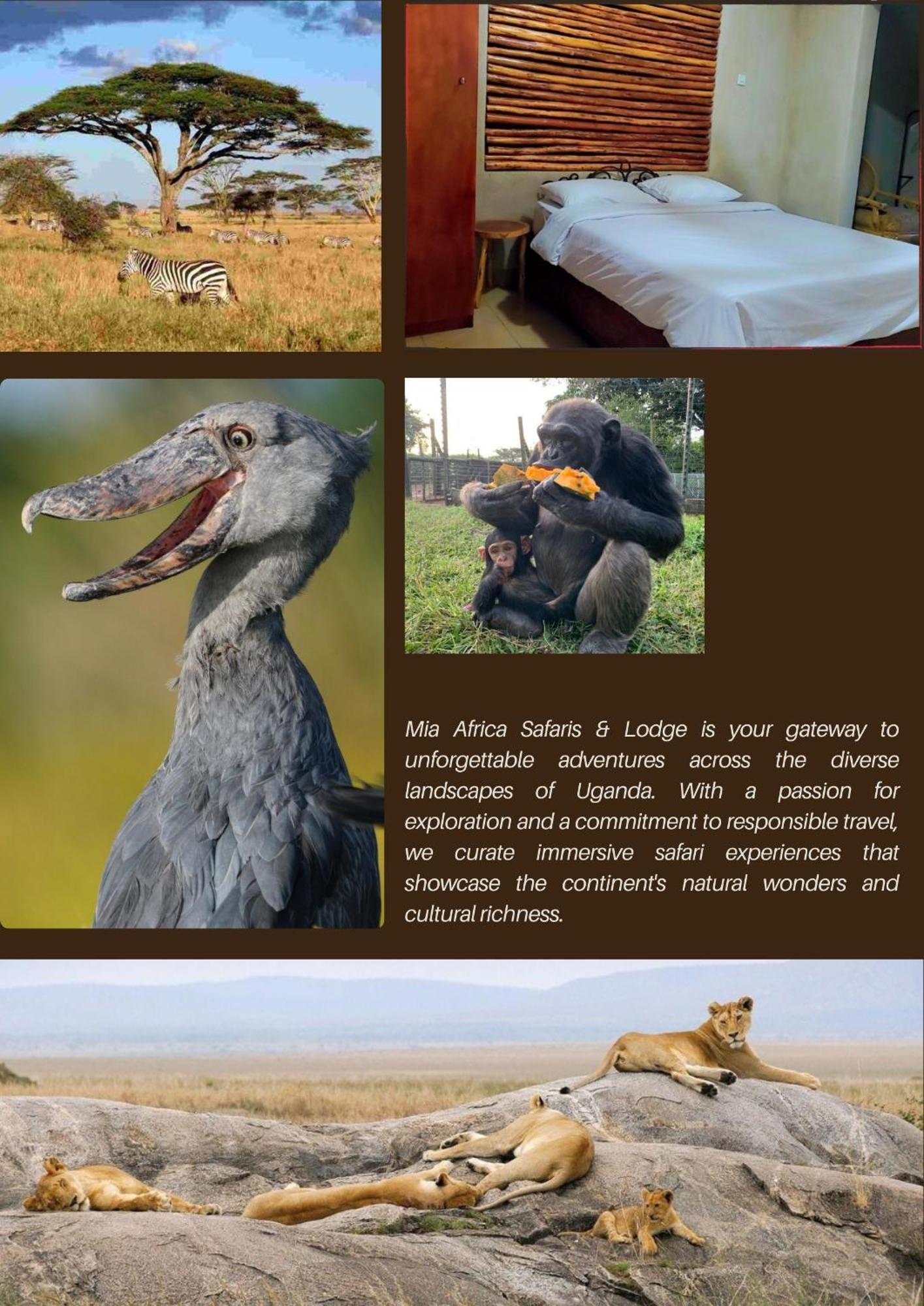 Mia Safari Lodge And Restaurant Ентеббе Екстер'єр фото